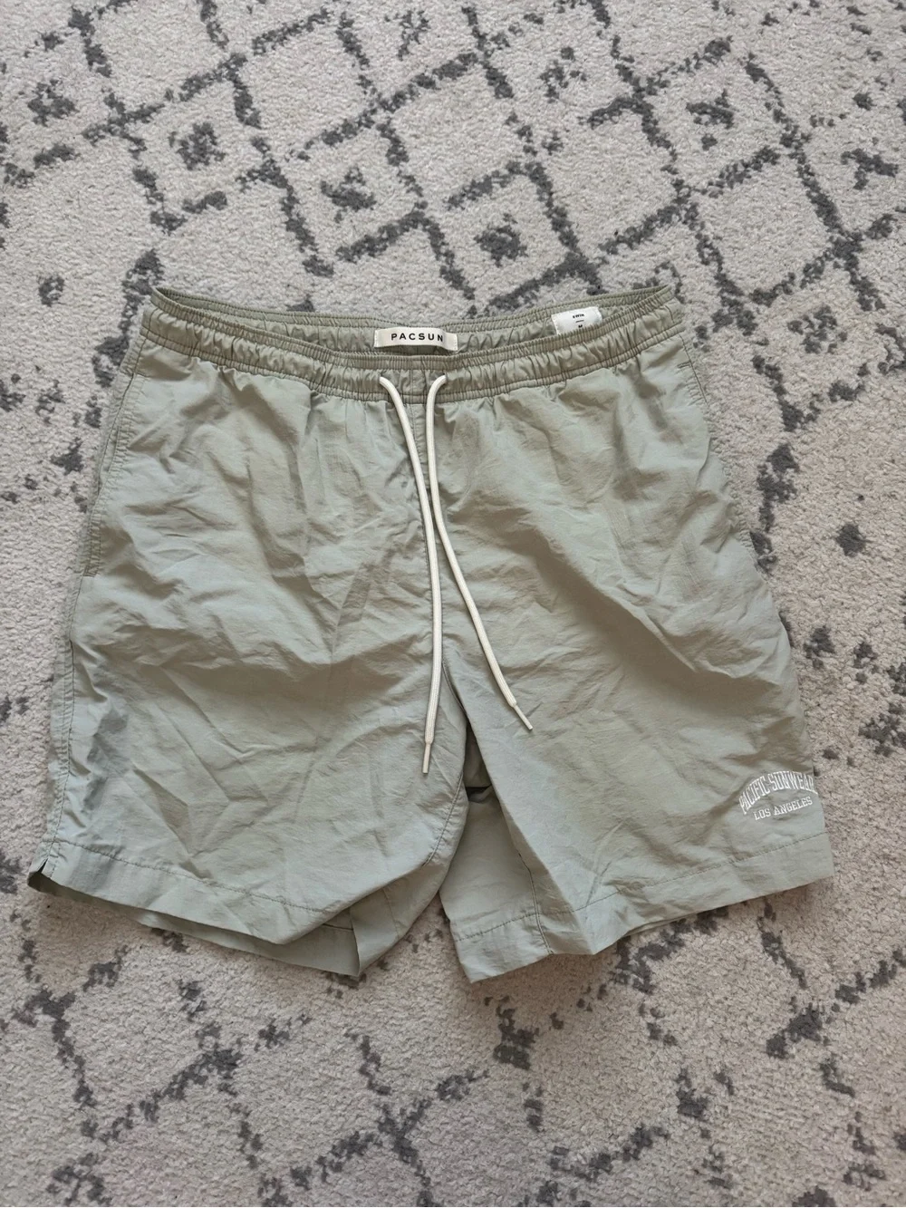 PacSun Men's Collegiate Swim Trunks